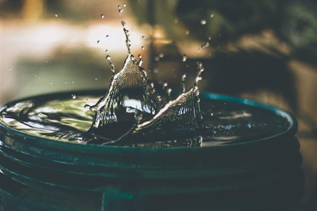 Photo by Amritanshu Sikdar on Unsplash