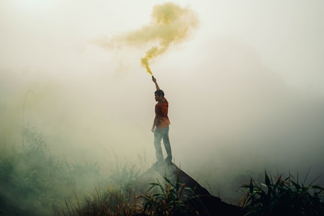 Photo by Chinh Le Duc on Unsplash