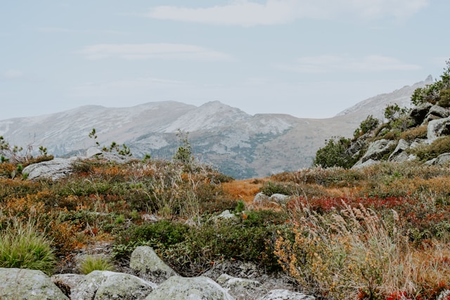 Photo by pure julia on Unsplash