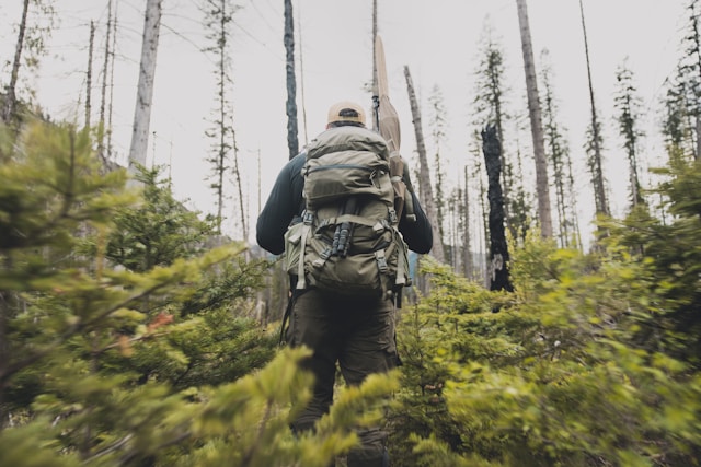 Photo by Tyree Adams on Unsplash