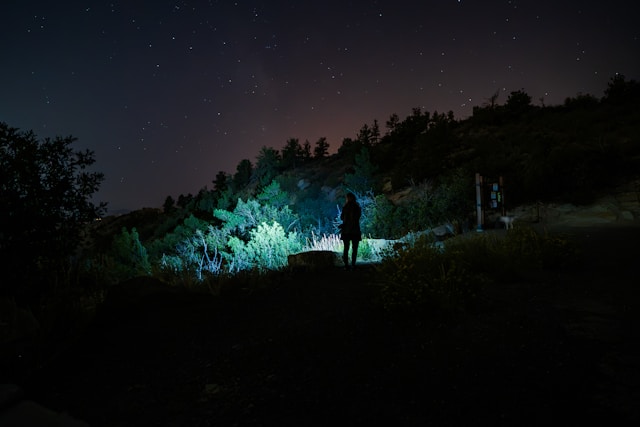 Photo by Tyler Sturm on Unsplash